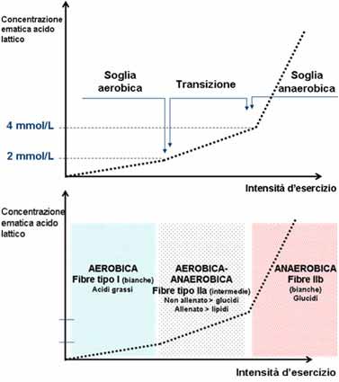 grafico soglia anaerobica