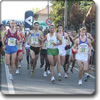 lions bugella maratonina