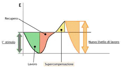 grafico del riposo